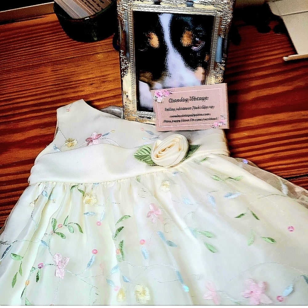 Princess Dress